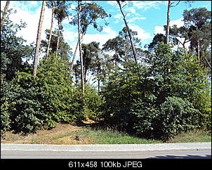 Geeignet?-dsc00966.jpg