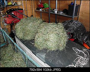 Selbstgemachte MiniBallen-dsci0128.jpg