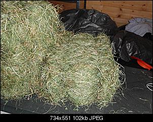 Selbstgemachte MiniBallen-dsci0130.jpg