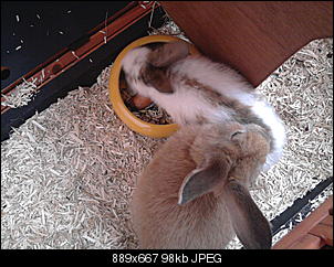 Aufreger des Tages!-sie-futtert-er-putzt-sie.jpg