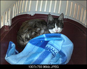 Name f�e Mieze-foto1466.jpg