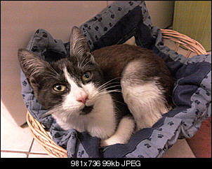 Name f�e Mieze-foto1467.jpg