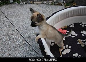 Es ist entlich soooo weit.....-chi-2.jpg