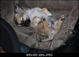 Es ist entlich soooo weit.....-chi-3.jpg