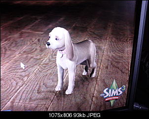 Sims 3-foto1486.jpg