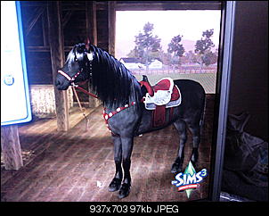 Sims 3-foto1484.jpg