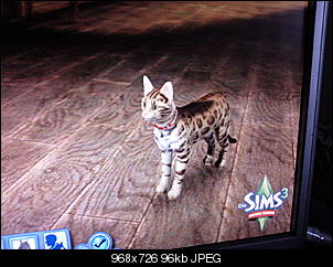 Sims 3-foto1488.jpg