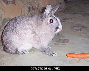 Best of M.L.J.S Kaninchenstories-couch-011.jpg