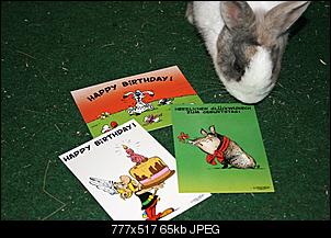 Geburtstags Thread-happy-birthday.jpg
