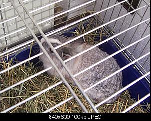 Bilder f�r meine Homepage =)-bonny-032.jpg