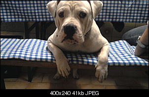 Der Hunde Thread-foto0116.jpg