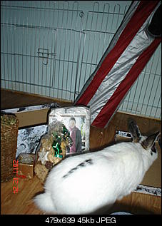 Wichteln :)-dsc00705.jpg