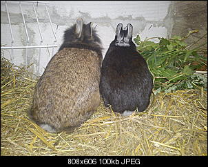 Gehege-dsc02460.jpg