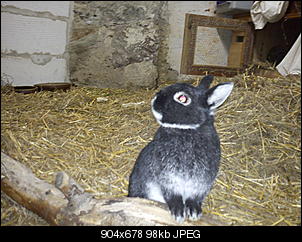 Gehege-dsc02655.jpg