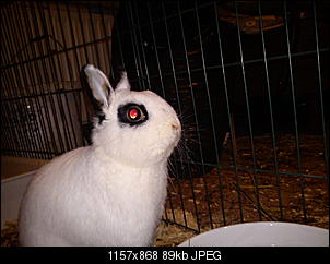 Gehege-dsc02624.jpg