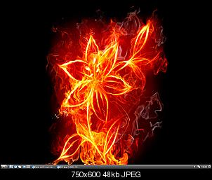 wie sieht eure desktop aus ?-2012-03-04-183659_1280x1024_scrot.jpg
