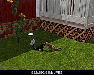 Sims 3-screenshot-17.jpg