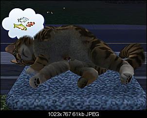 Sims 3-screenshot-46.jpg