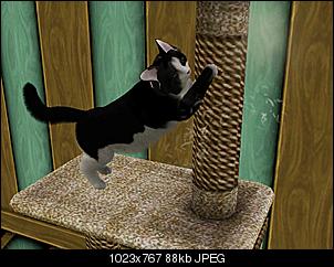Sims 3-screenshot-43.jpg