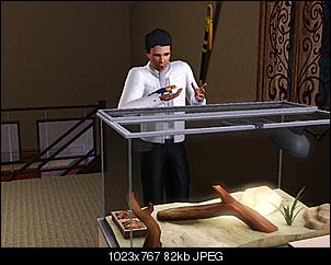 Sims 3-screenshot-8.jpg