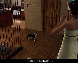 Sims 3-screenshot-84.jpg