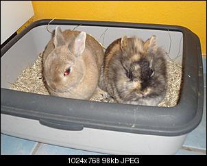 Klicke auf die Grafik f�r eine gr��ere Ansicht

Name:	mioundmayahappy (Mittel).JPG
Hits:	207
Gr��e:	98,1 KB
ID:	14685