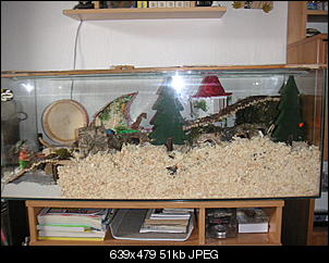Der Selbstmachertherrad-pict1582.jpg