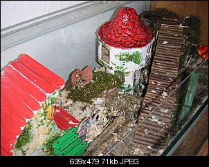 Der Selbstmachertherrad-pict1581.jpg