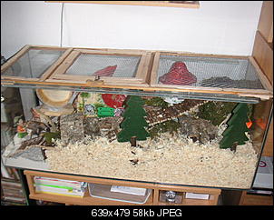 Der Selbstmachertherrad-pict1583.jpg