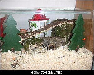 Der Selbstmachertherrad-pict1579.jpg
