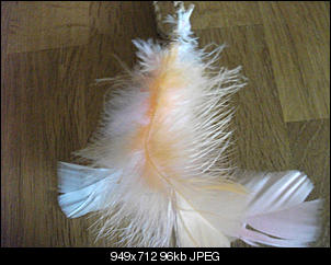 Der Selbstmachertherrad-dscf3535.jpg