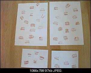 Der Selbstmachertherrad-dscf3568.jpg