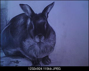 Hobby Malen Zeichnen,wer macht das hier noch?-dsc01394.jpg