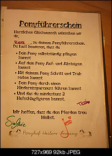 Pferde und Reiter-Thread-dscf3692.jpg