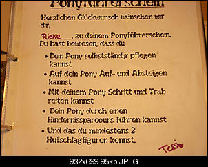 Pferde und Reiter-Thread-dscf3693.jpg