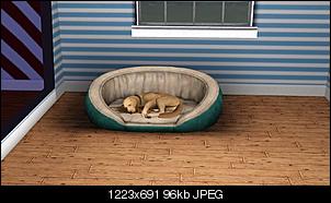 Sims 3-screenshot-40.jpg