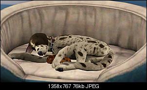 Sims 3-screenshot-47.jpg