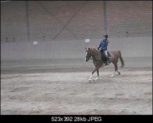 Pferde und Reiter-Thread-dscf7368.jpg