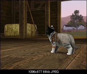 Sims 3-screenshot-55.jpg