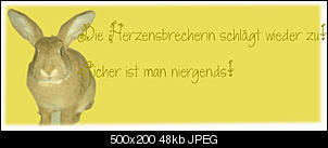 Meine Basteleien :))-f34t694p45056n3.jpg