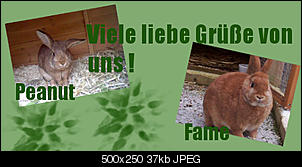 Meine Basteleien :))-unbenanntsjkw5ufxq8.jpg