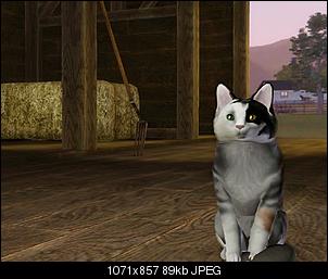 Sims 3-ellie.jpg