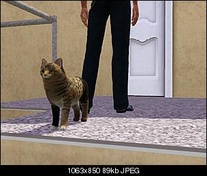Sims 3-mango-sohn-von-j.j.jpg