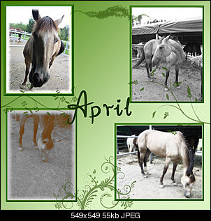 Meine Basteleien :))-april.jpg