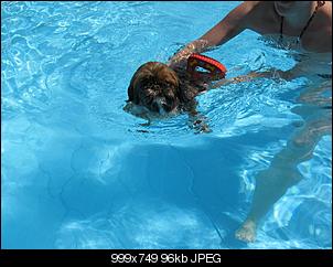Der Hunde Thread-img_2089.jpg