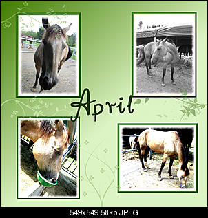 Meine Basteleien :))-april.jpg