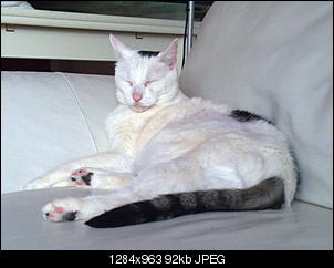 Zeigt doch mal eure Tiere-21042012516.jpg