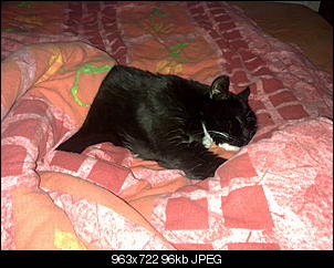Zeigt doch mal eure Tiere-26122011056.jpg