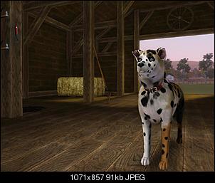 Sims 3-shelly.jpg