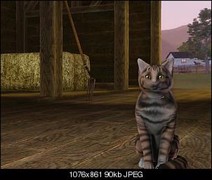Sims 3-screenshot-5.jpg